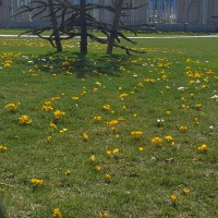 20190319_103834.jpg