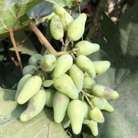 i (3).jpg