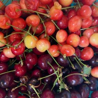 IMG_5666.jpeg