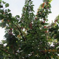 Изменение размера IMG_3928.JPG