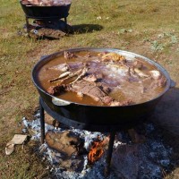IMG-20170321-WA0009.jpg