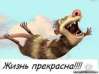 Аватара пользователя