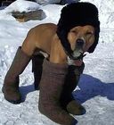 Аватара пользователя