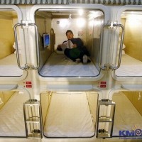 Перевозка животных 001.jpg