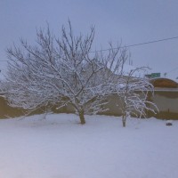 IMG_20190107_075514.jpg