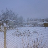 IMG_20190107_075525.jpg