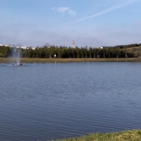 IMG_20190129_135207.jpg