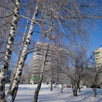 DSC_0111.JPG