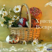 IMG-20190428-WA0003.jpg