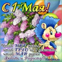 IMG-20190501-WA0008.jpg
