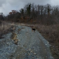 20200125_144725_HDR[1].jpg