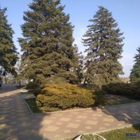 Переезжаю! Хочу вырваться из Искитима, но финансы поют романсы... IMG-20200322-WA0022.jpg