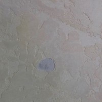 C37B8366-7104-4846-9EDF-5400F6D1E459.jpeg