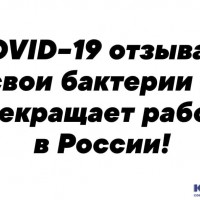 вирус.jpg