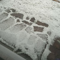 IMG_20220926_100518.jpg