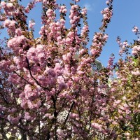 IMG_20250407_171454.jpg
