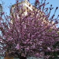 IMG_20250407_171731.jpg