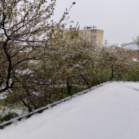 IMG_20250412_065536.jpg