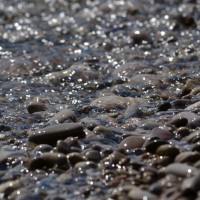DSC_4122.JPG