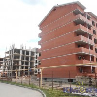 калина парк.JPG